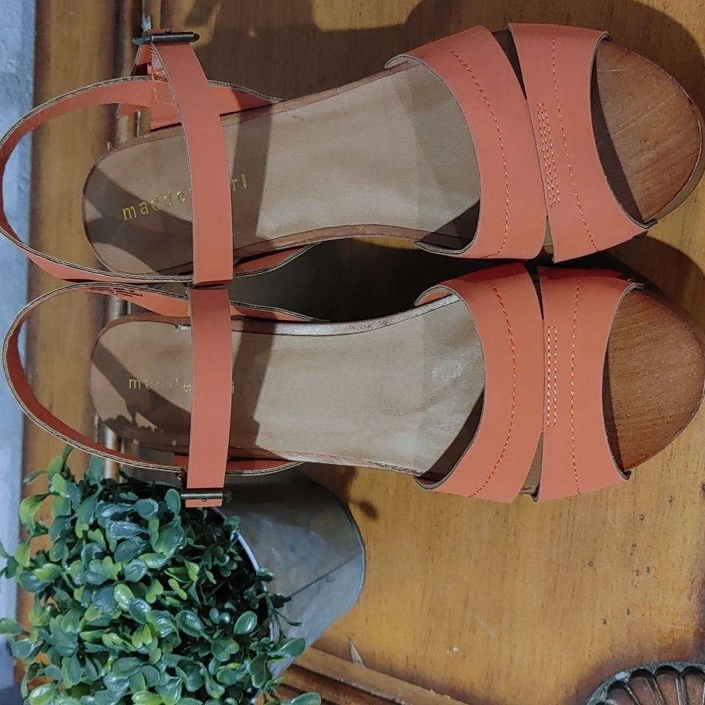 Steve Madden Wedge Shoe